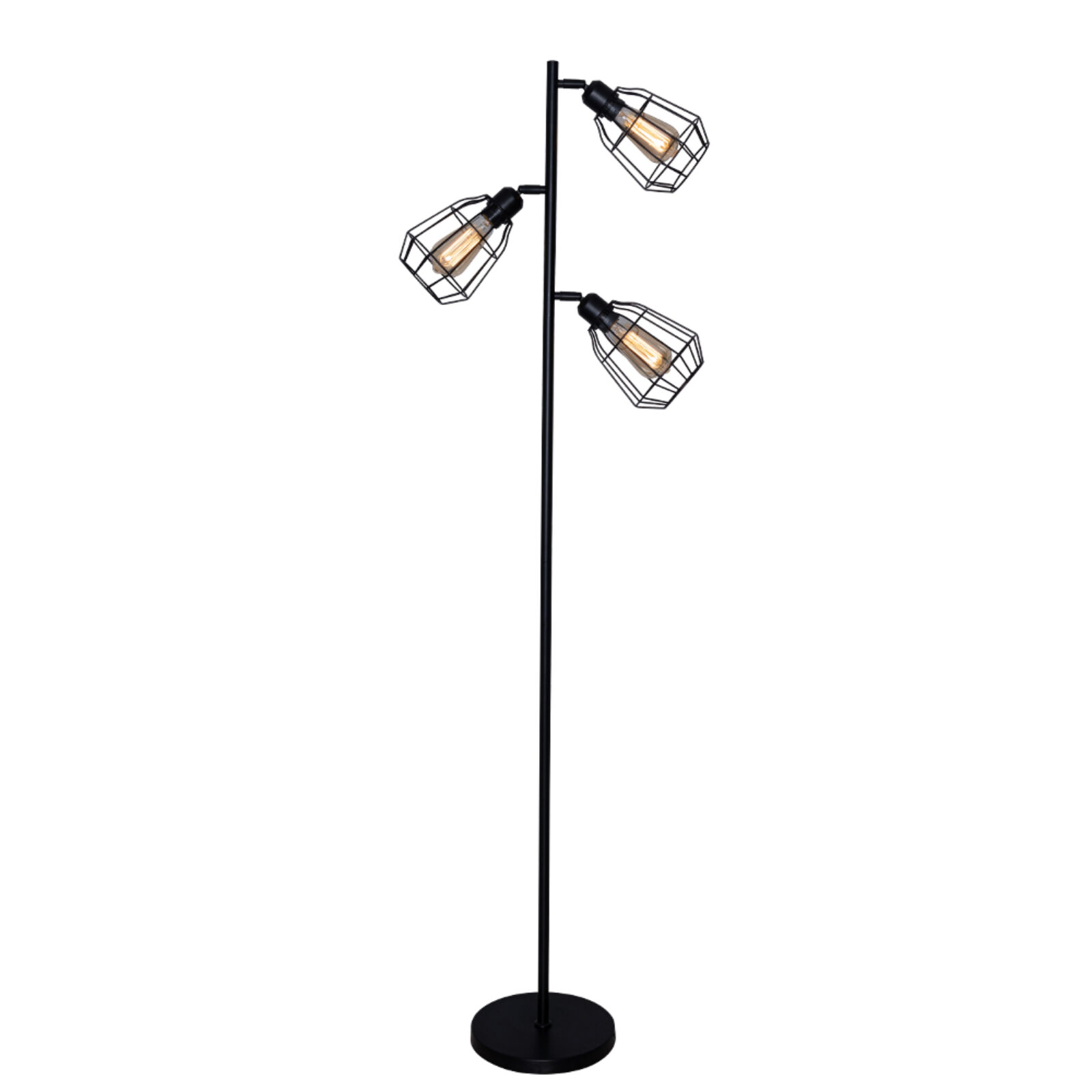 1204 asset image