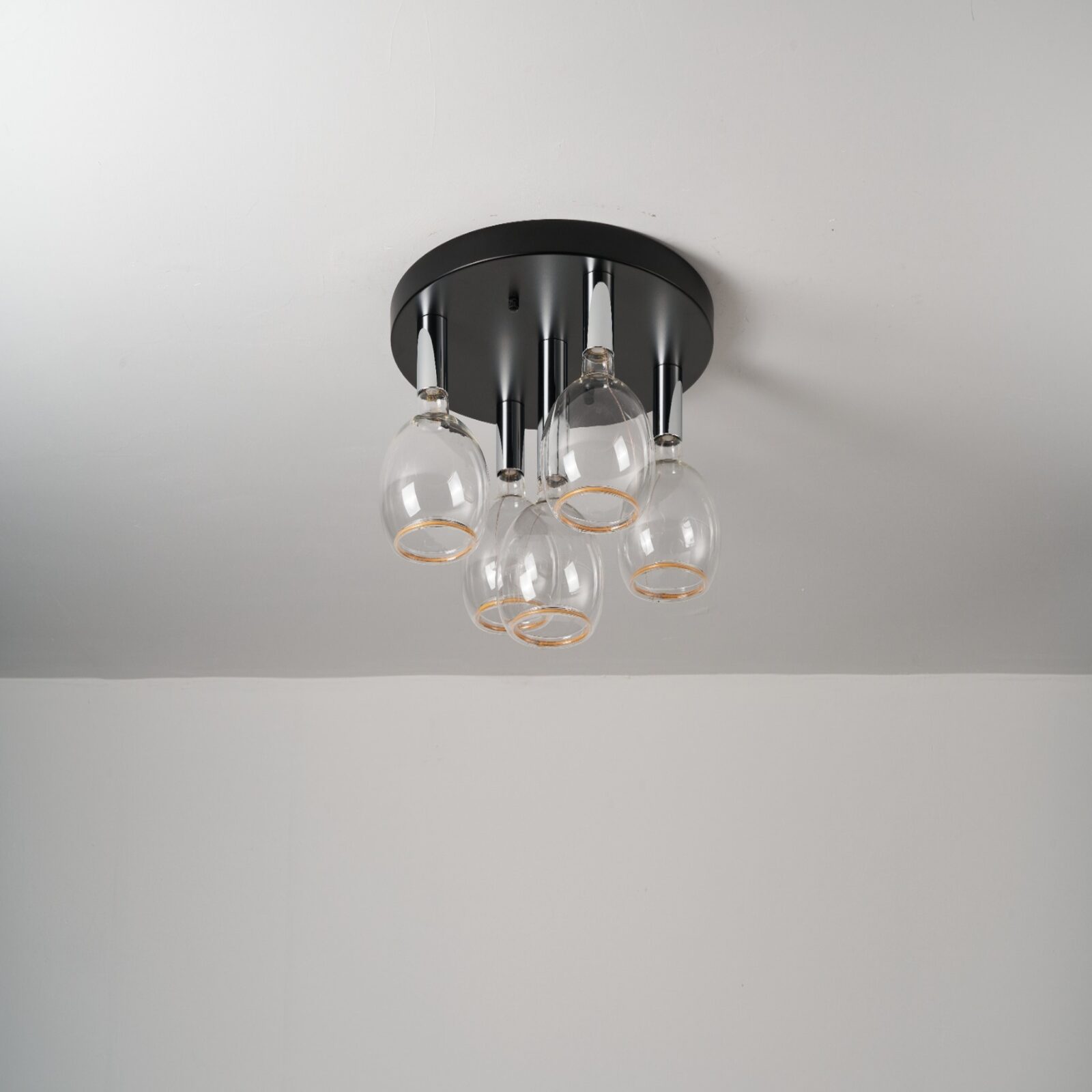 DSC02637 2048x2048 asset image